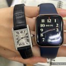 자연에 품 | 까르띠에 탱크머스트 악어시계줄 추천 품프로젝트 내돈내산 후기