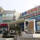 꽃이야나무야충주천안 이미지