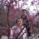 공산면사무소 이미지