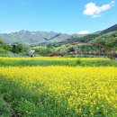 해인사 소리길 이미지