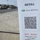 청룡주유소 | 행사] 제28회 서귀포 유채꽃 걷기대회｜제주월드컵경기장 10KM 코스 솔직 후기 (유채꽃은 어디에..?)