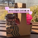 스타벅스 대구금호점 | 스타벅스 베이비 마일로 리유저블 이벤트 오픈런