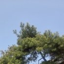 카페여차리