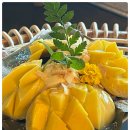 강남 에이비카페 망고 빙수 솔직 후기 | 여름보다 달콤했던 디저트 한 그릇