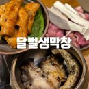 대구 막창 뒷고기 맛집 달벌생막창, 100년 가옥의 교동 야장