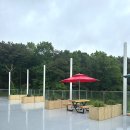 파인트리비 이미지