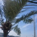 파도부동산중개사무소 이미지