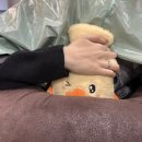 조아헤어샵 이미지