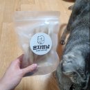 혼자멍냥 이미지