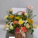 세종텍(주) | [세종시 꽃바구니] 특별한 날을 더 빛내줄 감성 꽃선물 (기념일/생일/전시회 배송)