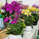 늘봄화원 이미지