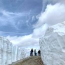 돌로미테 트레치메 디 라바래도Tre Cime Di Lavaredo 유월의 설원 트레킹 이미지