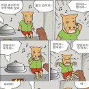 아싸가오리 이미지