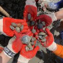 대천용두야영장 이미지