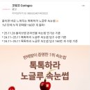 [개인 프로젝트] 데이터 기반 마케팅 기초
