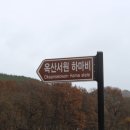 옥산1리 이미지