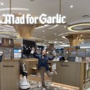 롯데몰 수지점 | 주말 외식 어디갈까? 매드포갈릭 할인 혜택 + 메뉴 추천 롯데몰 수지점 후기