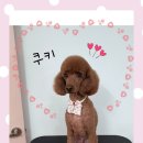 마니사개