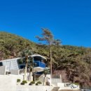 담양 리사 숲속마을 이미지