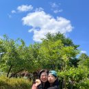 뾰족한수 이미지