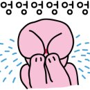 황전초등학교 회덕분교 네이버블로그