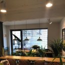 비아제주스테이 이미지