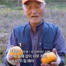 복연농장 이미지