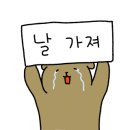 더써니스트