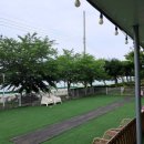 글램독 영흥도 이미지