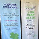 노고단-2 | 야생화를 보러 노고단