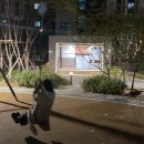 고주망탱이 이미지