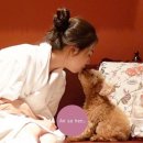 PET사랑 이미지