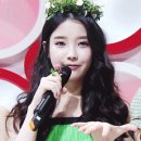햅번헤어 이미지