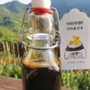 수아네 농장 이미지