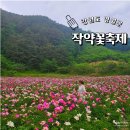 1052차5월26일 영월 단풍산&amp;상동 작약꽃 축제 이미지