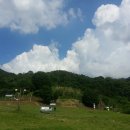 스와이 Daum카페