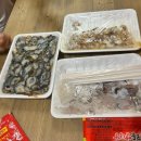 강원도 삼척 여행 장호항 스노쿨링 투명카누 해상케이블카