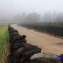 저지오름 이미지