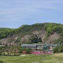 휠링 | 여주 신라 cc 4월 30일 골프 라운딩 후기 코스안내