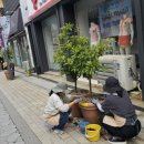 정원놀이사 양성과정 이미지