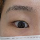 포레약국 | 노원 속눈썹펌 맛집 뷰티포레 첫방문 만원할인
