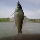 새말저수지 이미지