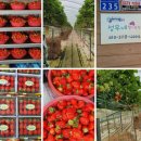 이소영농장 이미지