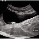 24시 라인동물의료센터 이미지