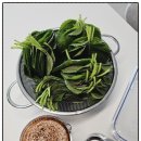 서진농장 이미지