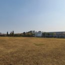 서호잔디광장 이미지