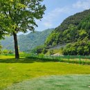 파크골프장 이미지