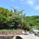 순천-36호 이미지