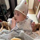 베이비무브 쿡마스터플러스 중기이유식 아이주도이유식 원물스틱