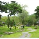 죽향2 이미지
